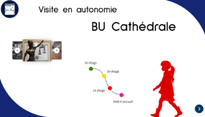 Parcours Droit