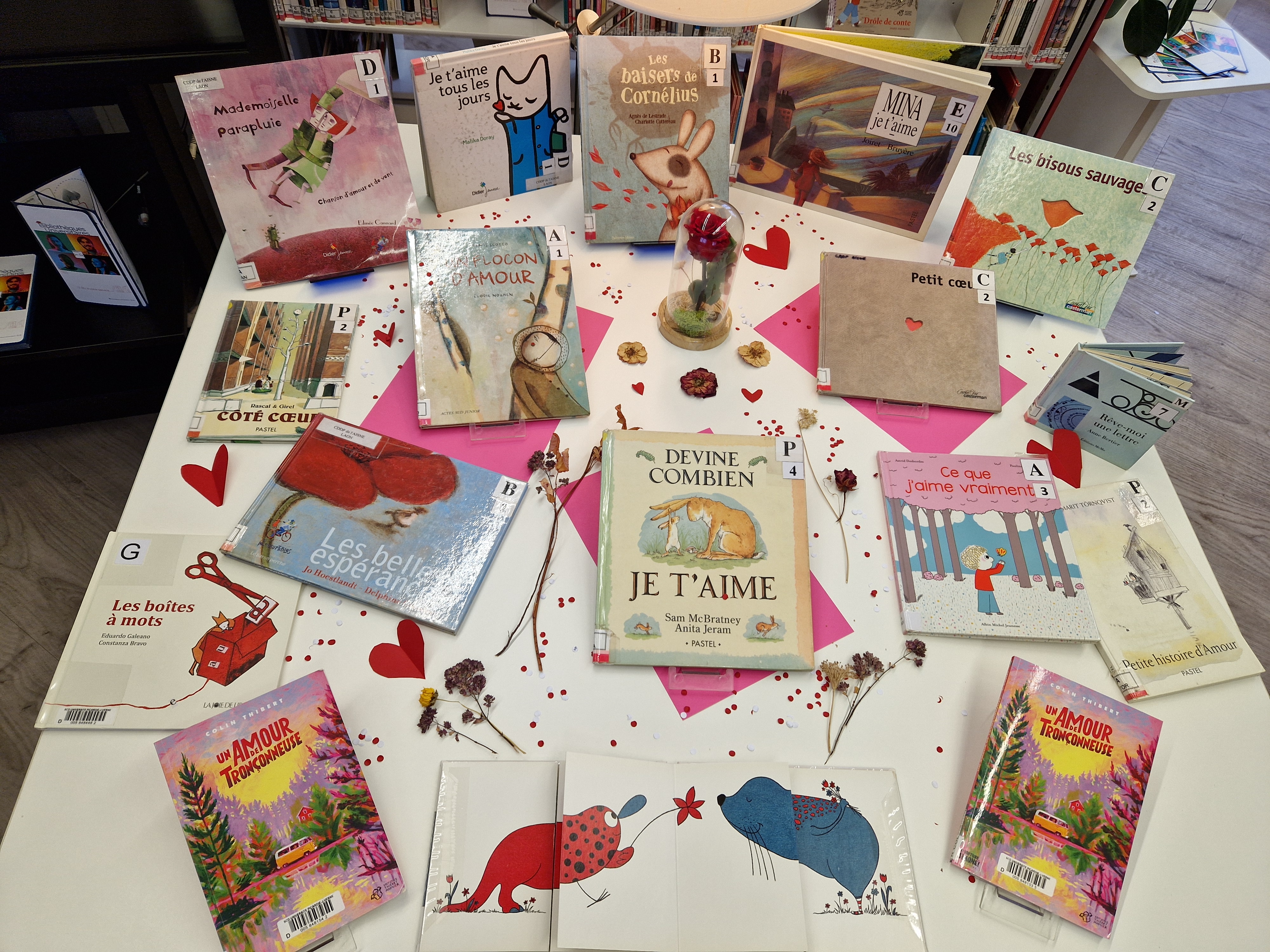 BU Insp&eacute; de Laon : s&eacute;lection ouvrages Saint-Valentin