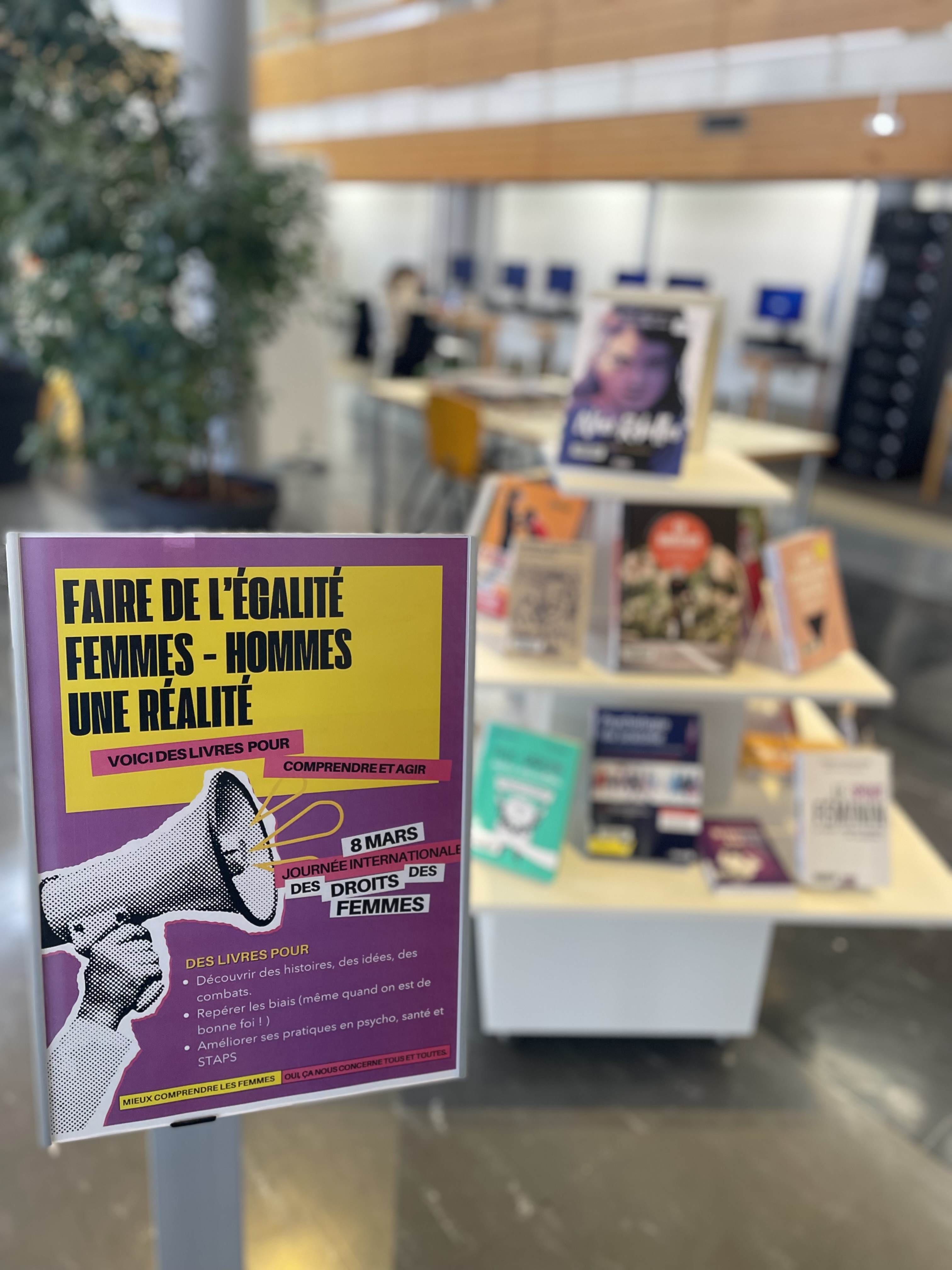 BU Campus Sant&eacute; : s&eacute;lection d'ouvrages "journ&eacute;e internationale des luttes des droits des femmes"