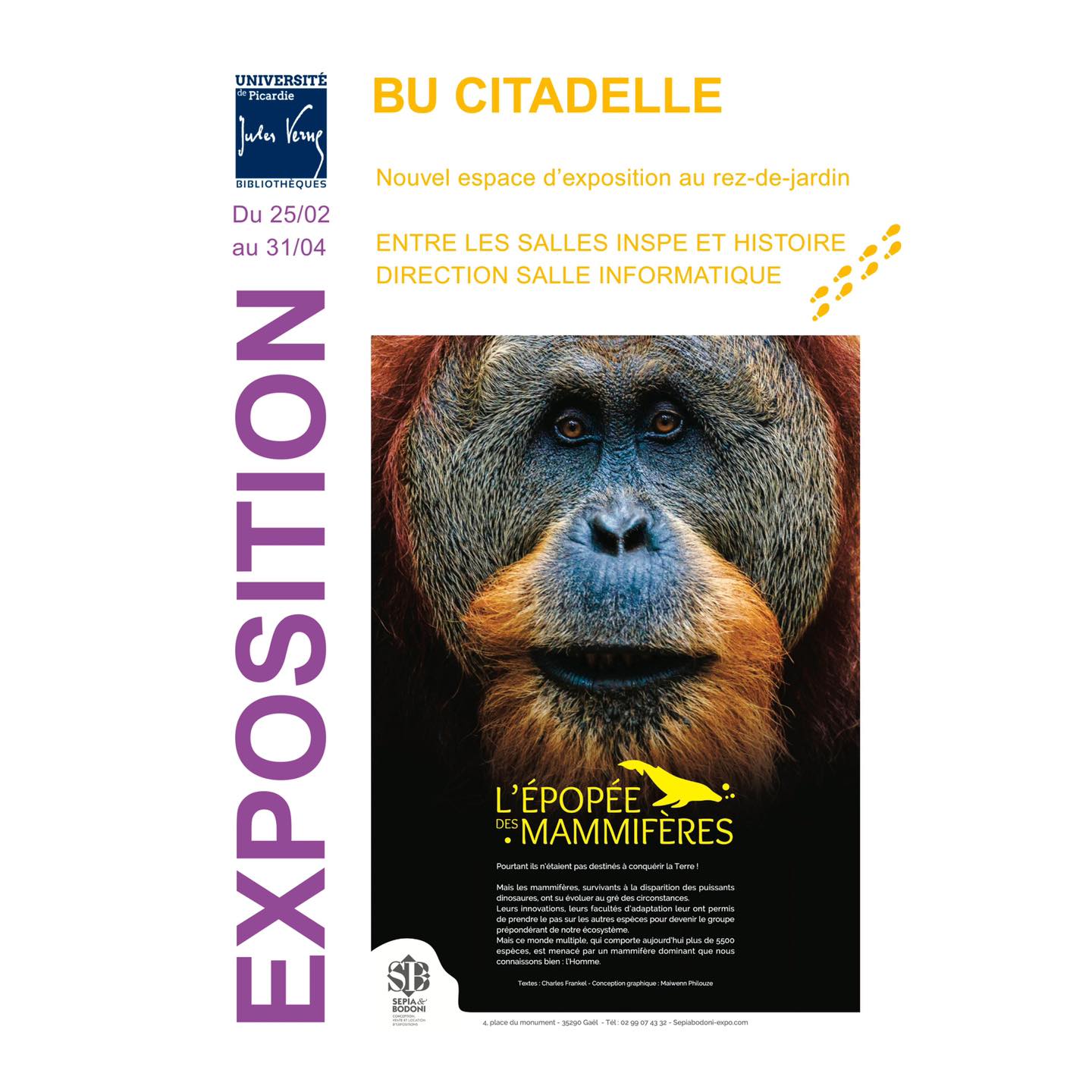 BU Citadelle : exposition "L'&eacute;pop&eacute;e des mammif&egrave;res"