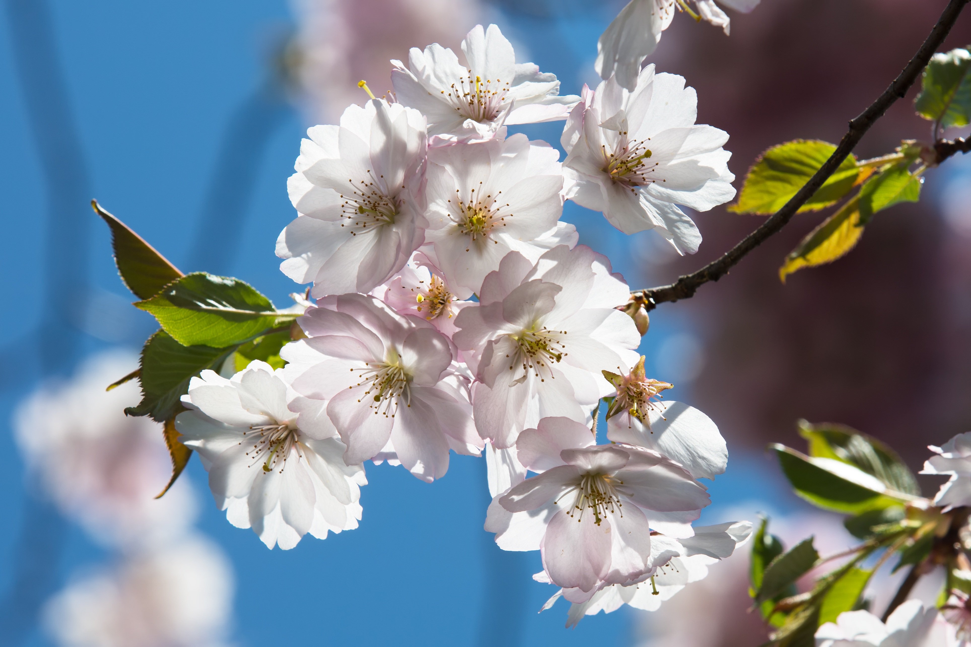 Fermetures BU : vacances de printemps & jours f&eacute;ri&eacute;s en mai