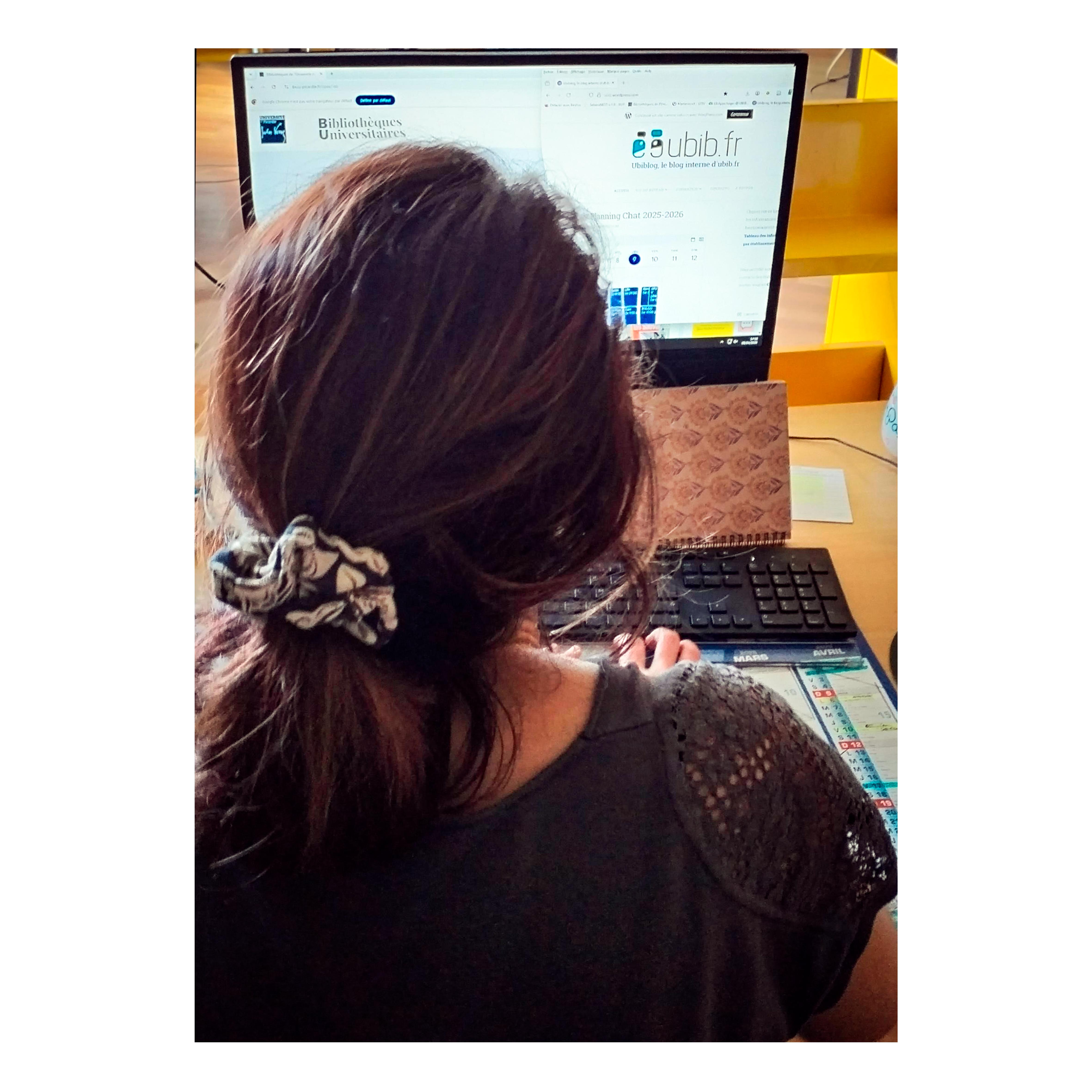 Ubib ou le service de questions/ r&eacute;ponses en ligne