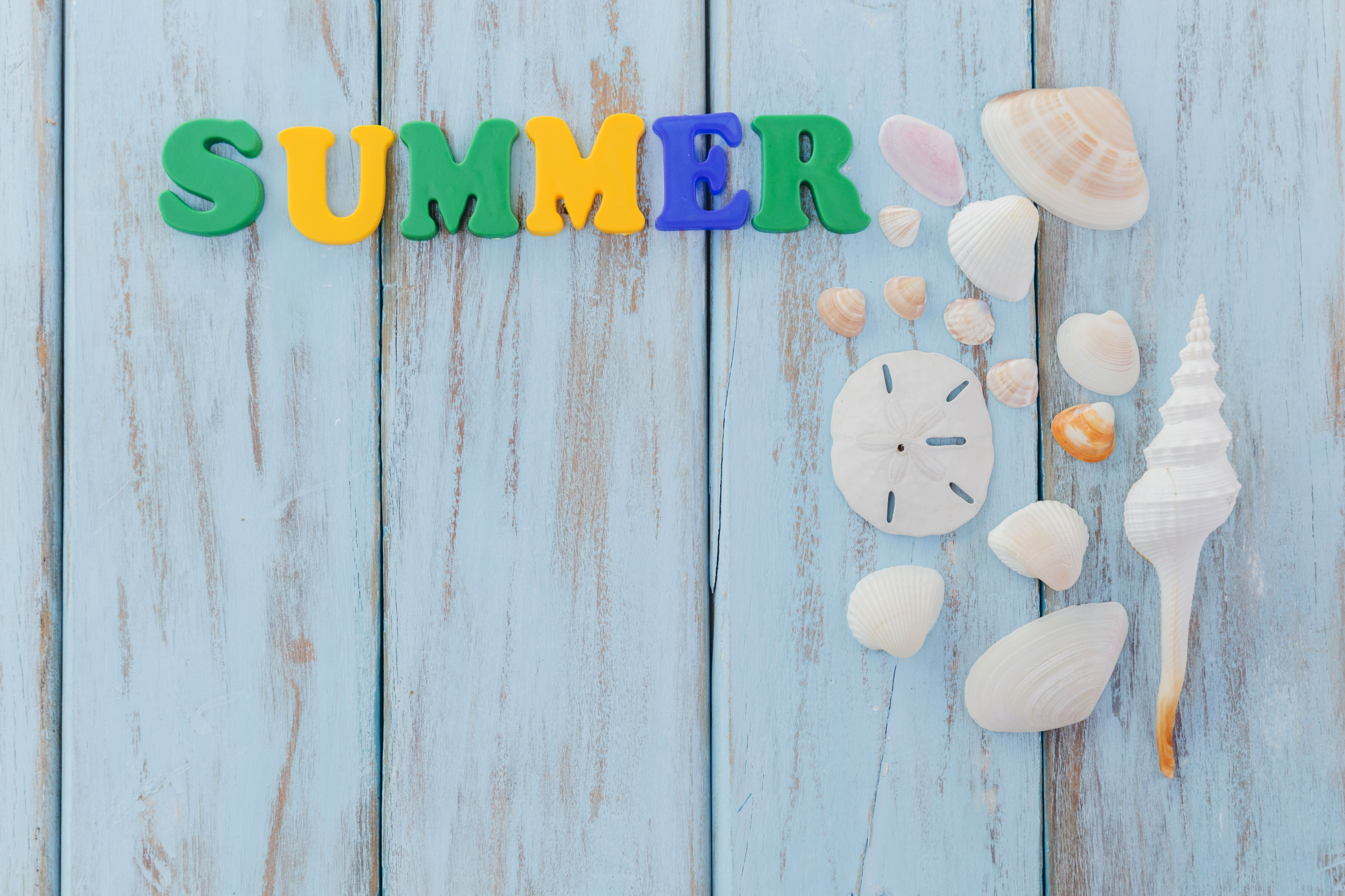 Fermeture estivale 2025 et services adapt&eacute;s