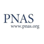 Logo 2020 PNAS