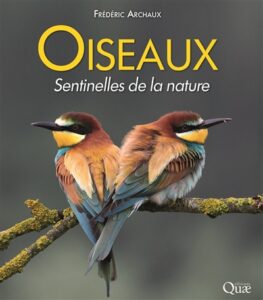 oiseaux sentinelles nature