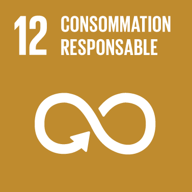 The Global Goals : icône thème 12