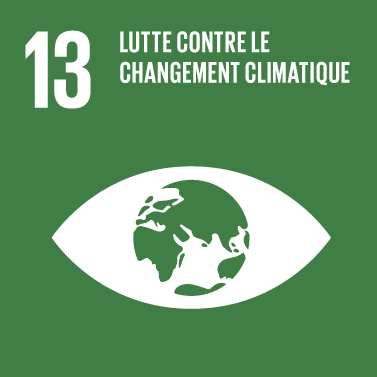 The Global Goals : icône thème 13 "lutte contre changement climatique"