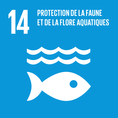 The Global Goals : icône thème 14 "vie aquatique"