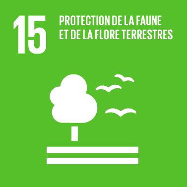 The Global Goals : icône thème 15