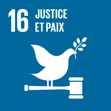 The Global Goals : icône thème 16