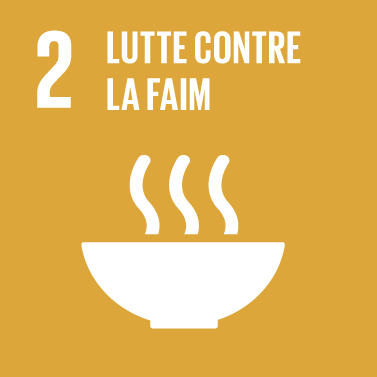 The Global Goals : icône thème 2