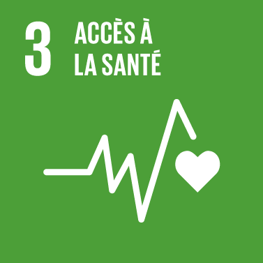 The Global Goals : icône thème 3