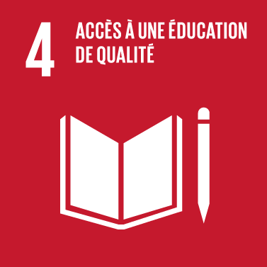 The Global Goals : icône thème 4