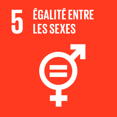 The Global Goals : icône thème 5