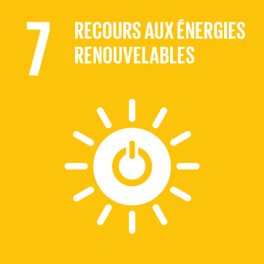 The Global Goals : icône thème 7