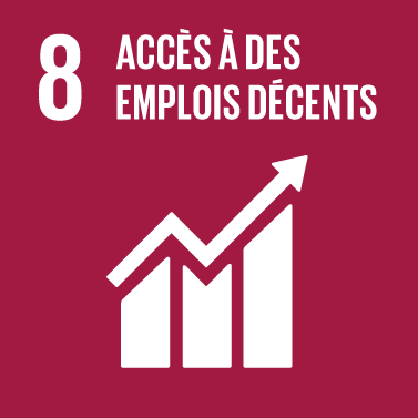 The Global Goals : icône thème 8