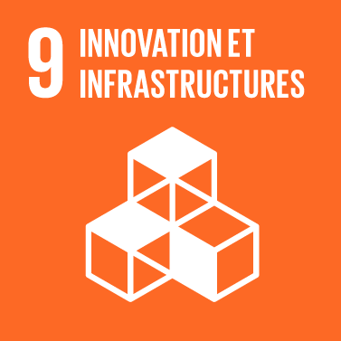 The Global Goals : icône thème 9