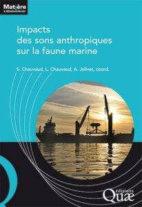 impact des sons anthropiques sur la faune marine