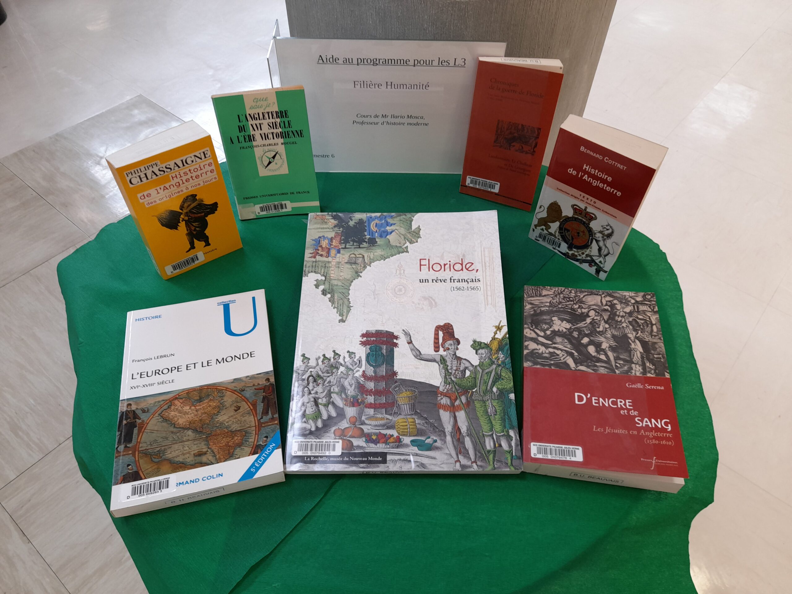 BU Beauvais : sélection d'ouvrages pour les L3 semestre 6