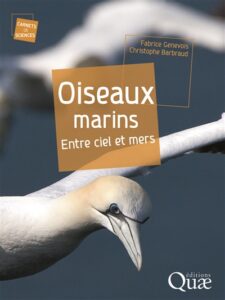 oiseaux marins